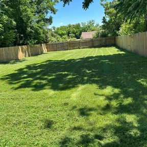 yard maintenance by Manuel's lawn care reviewed on August 17, 2025