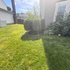 Bush Trimming by Westens Lawn Care LLC reviewed on June 13, 2026