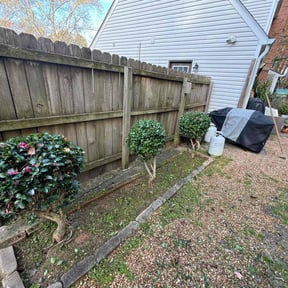 Bush Trimming by RJ's Lawn Care reviewed on December 2, 2025