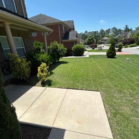 yard maintenance by Yellow jacket reviewed on August 19, 2025