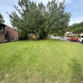lawn maintenance by Myers Landscaping & Hauling reviewed on July 14, 2023
