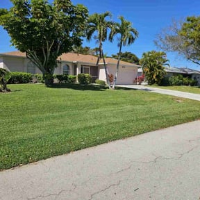 lawn maintenance by Felo Pride lawn services reviewed on March 20, 2024