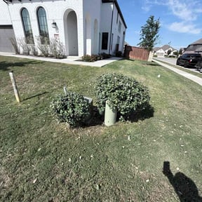 Bush Trimming by Nate’s Lawn Care, LLC reviewed on November 19, 2025