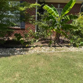 Flower Bed Weeding by Hardesty Property Services reviewed on July 12, 2026