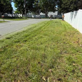 Leaf Removal by Isaiah’s lawnscaping reviewed on June 21, 2026