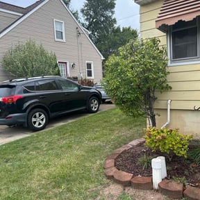 Bush Trimming by LG Lawn &amp; Landscaping reviewed on November 10, 2025