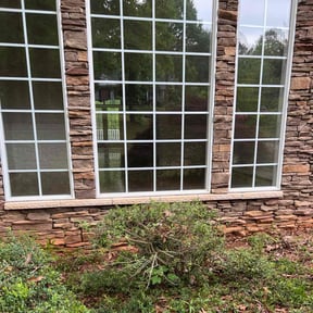 Bush Trimming by Down To Earth Landscaping  reviewed on August 15, 2025
