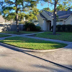 turf maintenance by AB Flores Landscaping reviewed on August 16, 2025