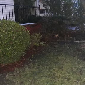 Leaf Removal by Family Lawn Care reviewed on September 27, 2025