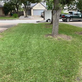 gardening service by RGV LawnCare Services reviewed on December 11, 2025