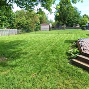 yard service by Cutting Edge Landscaping Professionals LLC reviewed on October 15, 2023