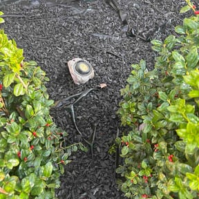 Mulching by Lullabee Farms reviewed on March 7, 2026