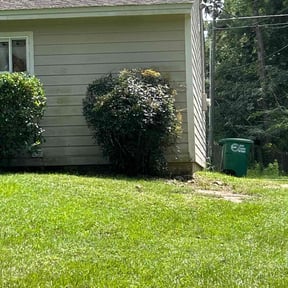 Bush Trimming by Cummings and Cummings Lawn Care reviewed on November 24, 2025