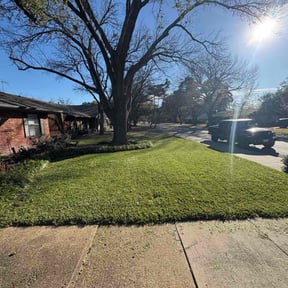 Leaf Removal by Coco reviewed on September 15, 2026