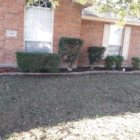 Bush Trimming by GreenCare&amp;Smiles reviewed on November 24, 2025