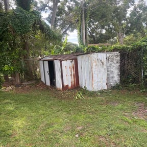 Bush Trimming by  &quot;Haul&quot;in Grass&quot; reviewed on October 22, 2025