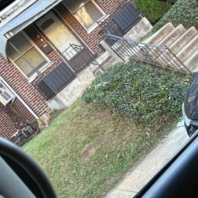 Bush Trimming by RC Lawn Care reviewed on December 16, 2025