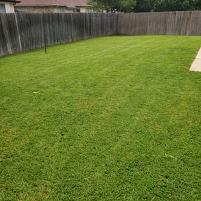 yard maintenance by Tapia's Landscape reviewed on November 22, 2025