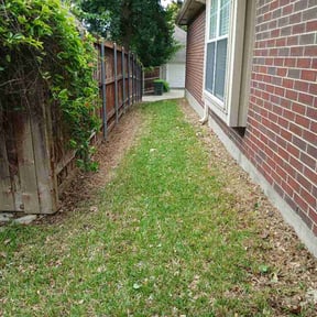 Leaf Removal by Trusty Trade Co. reviewed on June 17, 2026