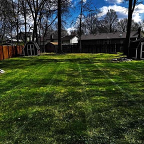 lawn care services by Colabora USA LLC DBA Monster Cuts reviewed on November 9, 2017