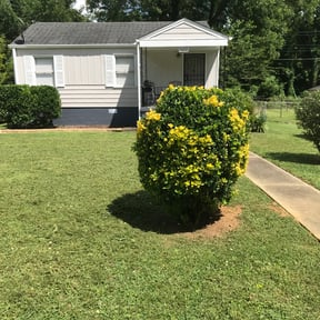Bush Trimming by A-Z Land Care reviewed on August 15, 2025