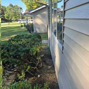 Bush Trimming by Mid-Cities Lawn and Garden reviewed on October 21, 2025