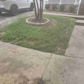 Leaf Removal by K X and T Property reviewed on August 18, 2026