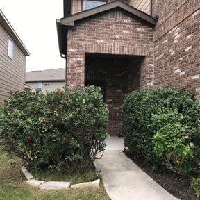 Bush Trimming by Iowa Lawn and Plow, LLC reviewed on July 28, 2022