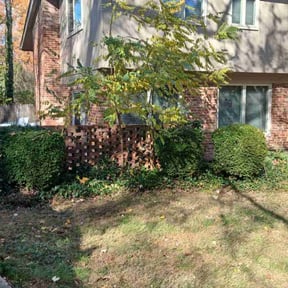 Leaf Removal by S@E Hauling And Lawn Service reviewed on November 21, 2025