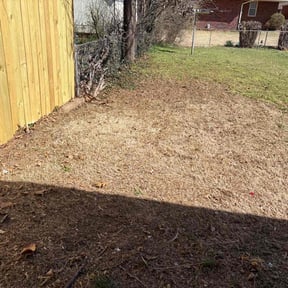 Leaf Removal by Soleil Lawn Care reviewed on August 18, 2025