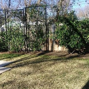 Leaf Removal by Greg's gardens reviewed on August 15, 2025