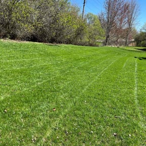 Lawn Mowing by Stars &amp; Stripes Lawn Care reviewed on August 17, 2025