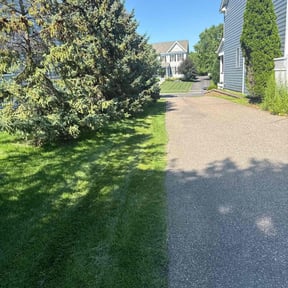 gardening service by Bad Daddy Lawns reviewed on November 21, 2025