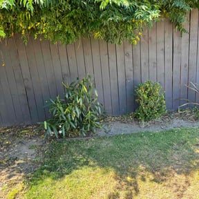 Bush Trimming by Mortstar Industries reviewed on August 14, 2025