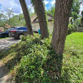 Bush Trimming by Big Chief Lawn Care reviewed on July 15, 2026