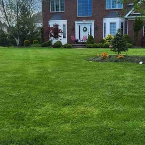 yard work by A Cut Above reviewed on August 21, 2025