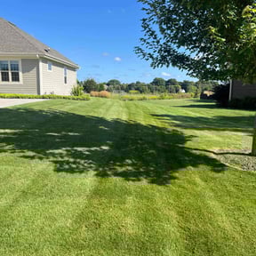 yard care by RAWLawns reviewed on August 15, 2025