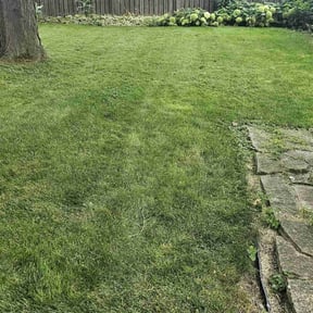 grass cutting by Grass Whippers reviewed on July 18, 2025