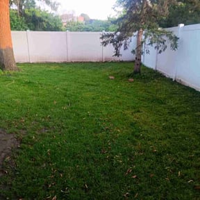 lawn service by G E D Services LLC reviewed on October 17, 2023