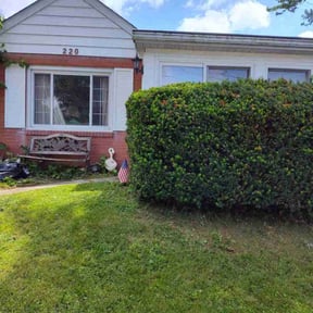 Bush Trimming by All In 1lawn and Tree Service reviewed on August 16, 2025