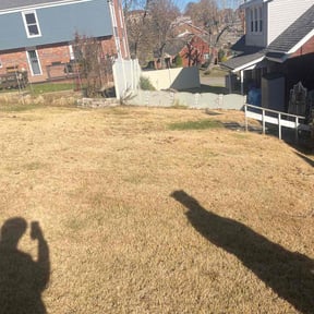 Leaf Removal by Lawn care reviewed on September 22, 2025