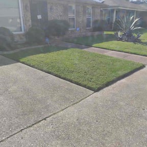 Bush Trimming by JD's Green stride solutions reviewed on October 22, 2025