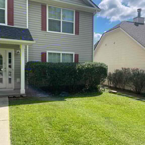 Bush Trimming by Inland Empire Yard Care and Junk Removal reviewed on February 8, 2026