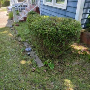 Bush Trimming by Green Guy Landscaping LLC reviewed on November 18, 2025