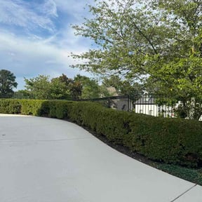 Bush Trimming by Tovar Landscaping reviewed on September 17, 2026