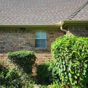 Bush Trimming by Z’s Mowing reviewed on November 23, 2025