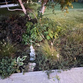 Flower Bed Weeding by Rockmon landscape care reviewed on August 29, 2026