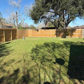 Lawn Mowing by  reviewed on April 20, 2024