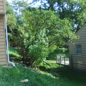 Bush Trimming by Cluchey's Lawn Services, Operator reviewed on August 18, 2025