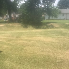 Bush Trimming by Structure lawn care reviewed on August 18, 2025